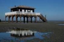 La cabane tchanquée, chantier emblématique réalisé en pieux trépidés, Bassin d'Arcachon