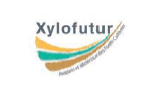 Xylofutur